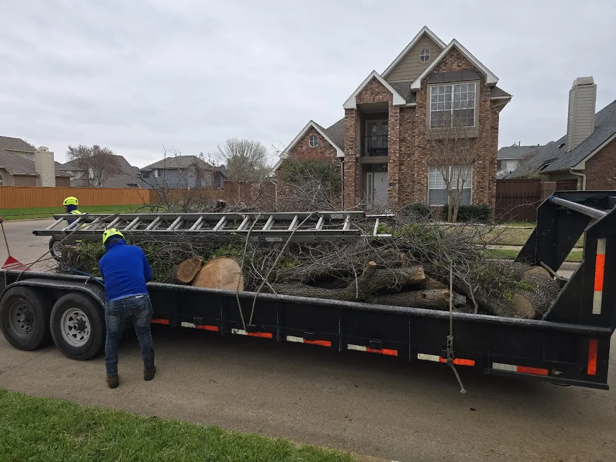 Expert Tree Fertilization with proper safety equipment in Colfax
